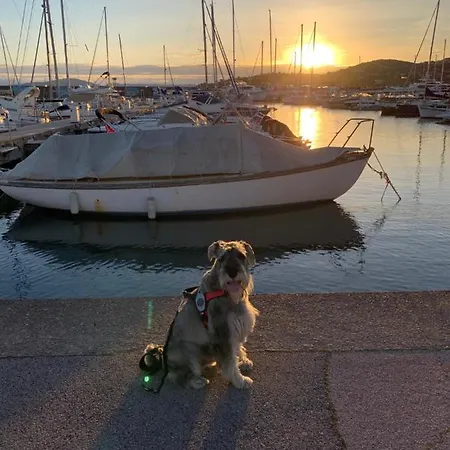 Lejlighed Le Grand Large Sainte-Maxime