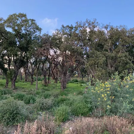 Lejlighed Le Grand Large